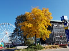 Herbst in der Stadt Luzern, mittendrin steht er, um ihn herum eilen Einheimische und Touristen....sehen sie ihn? (Bild: Rolf Stocker (KKL Luzern, 14. Oktober 2018))