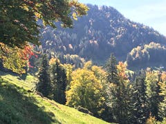 Farbige Aussicht auf der Seebodenalp. (Bild: Brigit König (Seebodenalp, 12. Oktober 2018))