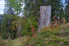 Gestern auf der Wanderung Klewenalp-Brisenhaus-Niederrickenbach. (Bild: Regula Aeppli (Niederrickenbach, 30. September 2018))