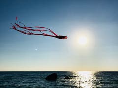Drachenflug in die Abendsonne. (Bild: Helene Gosswiler (Zalongo, Griechenland, 1. Oktober 2018))