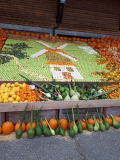 Viele farbenfrohe Kürbisse. (Bild: Heinrich Inderbitzin (Rothenburg, 1. Oktober 2018))