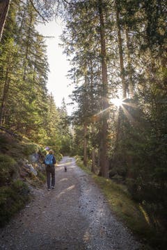 Ein schöner Morgenspaziergang nach Lantsch. (Bild: Jerome Bally (Lenzerheide, 14. Oktober 2018))