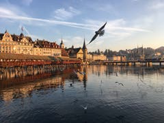Kappelbrücke im herbstlichen Licht. (Bild: Stefanie Müller (Luzern, 17. Oktober 2018))