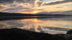 Abendstimmung am Sempachersee. (Bild: Jan Burgunder (11. Oktober 2018))