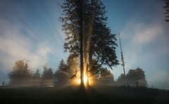 "Die Erleuchtung": Sonnenaufgang auf dem Zugerberg (Bild: Daniel Hegglin)