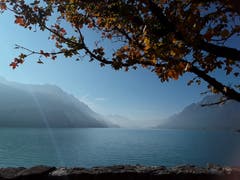 Herbstliche Landschaft, aufgenommen am Strandweg am Brienzersee. (Bild: Bruno Ringgenberg (Brienz, 21. Oktober 2018))