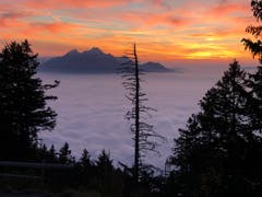 Rigi-Staffelhöhe. Sonnenuntergang und Nebelmeer. (Bild: Bruno Albisser)