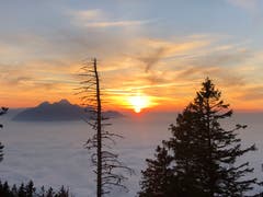 Spektakulärer Sonnenuntergang auf Rigi Staffelhöhe. (Bild: Lisbeth Albisser)