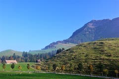 Seebodenalp am Samstag, nach Auflösung der Nebeldecke. (Bild: Josef Habermacher, 21. Oktober 2018)