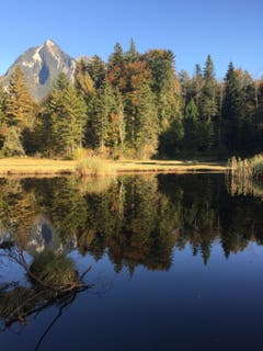 Herbststimmung am Gerzensee (Bild: Theresa Haas (Chärnwald, 21. Oktober 2018))