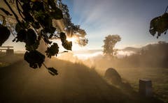 Sonnenaufgang auf dem Zugerberg III. (Bild: Daniel Hegglin)