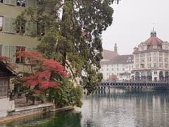 Im Zöpfli, aufgenommen vom Platz vor der Gartenwirtschaft Restaurant "Mill'Feuill". (Bild: Jost Amrein, 19. Oktober 2018)