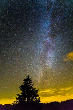 Das Hochmoor in wundervoller Farbe. (Bild: Vinzenz Blum (Oberberg bei Schüpfheim, 11. Oktober 2018))