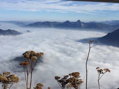 Herrliches Nebelmeer mit Sicht auf die Mythen. (Bild: Esther Macchi (Emmetten, 19. Oktober 2018))