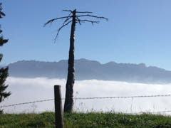 Nebelmeer über dem Entlebuch. Darüber Aebnistettenflue, Schafmatt, Grönflue. (Bild: Fredi Meyer (Napf, 20. Oktober 2018))