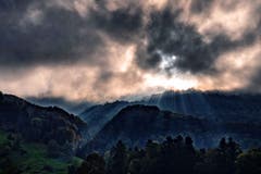 Bei einer kleinen Wanderung lichtete sich langsam der Nebel, was zu einer wunderbaren Lichtsituation führte. (Bild: Jörg Föhn (Höhe Greppen, 9. Oktober 2018))