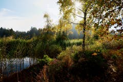 Hochmoor oberhalb Hemberg. (Bild: Walter Schmidt)