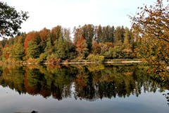 Gespiegelte Herbststimmung am Gübsensee (Bild: Irene Weibel)
