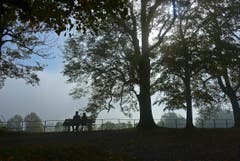 Rossbüchel/Fünfländerblick: Auf 920 m Höhe dominiert die Nebelobergrenze. (Bild: Walter Schmidt)