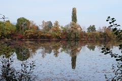 Herbststimmung am Gübsensee (Bild: Irene Weibel)