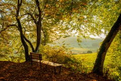Ein Ruhebänkli mit Blick nach Neudorf. (Bild: Sheila Lang (Beromünster, 12. Oktober 2018)