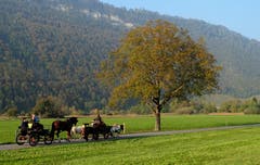 Herbstliche Pony-Kutschen-Ausfahrt (Bild: Sepp Bernasconi (Stans, 20. Oktober 2018))