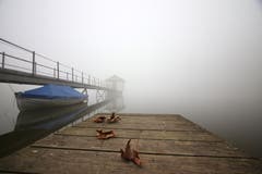 Mystische Stimmung am Wenigerweiher. (Bild: Franco Tschumi)