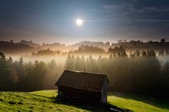 Die Sonne durchsticht den Nebel in Schwellbrunn. (Bild: Luciano Pau)