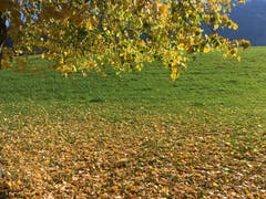 Herbst in der Landschaft (Bild: Isidor Affentranger (Auf dem Bruderklausenweg von Stans nach Flüeli-Ranft, 15. Oktober 2018)