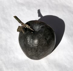 Ein schwarzer Apfel (Bild: Franz Krummenacher (Rothenburg, 24. Oktober 2018))