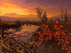 Sonnenuntergang im Naturschutzgebiet Altstätten. (Bild: Toni Sieber)