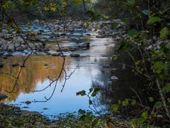 An der Thur entlang gibt's in Nesslau viele schöne Fleckchen. (Bild: Renato Maciariello)