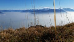 Am Rand des Nebelmeeres auf dem Hohen Kasten. (Bild: Klaus Businger)