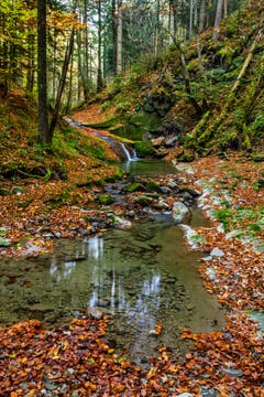 Ein Wasserfall voller Laub am Moosbach. (Bild: Matthias Rozinek)