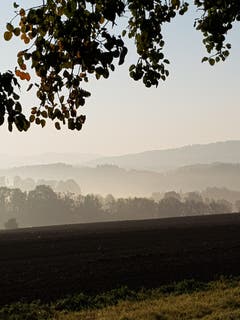 Sonne und Nebel über Zihlschlacht. (Bild: Reto Schlegel)