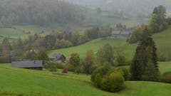 Verregneter Tag in Blomberg, Ebnat-Kappel. (Bild: Martin Giger)
