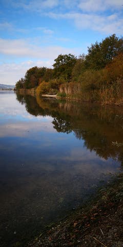 Schöne Herbststimmung am Baldeggersee. (Bild: Alois Näf (24. Oktober 2018))