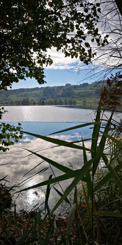 Spiegelungen im Baldeggersee. (Bild: Alois Näf (24. Oktober 2018))