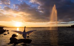 Sonnenuntergang am Zugersee. (bild: Daniel Hegglin (Zug, 24. Oktober 2018))
