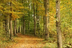 An der Suhre. (Bild: Irene Wanner, Geuensee, 24. Oktober 2018)