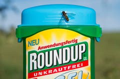 Im Glyphosat-Prozess gegen die Bayer-Tochter Monsanto hat ein US-Gericht das Urteil gegen den Herbizid-Hersteller bestätigt, wonach Monsanto-Mittel verantwortlich für den Krebs des Klägers seien. (Bild: Steffen Schmidt/Epa)