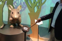 Per Zauberstab werden die Informationen zur Hausmaus abgerufen.