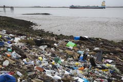 Mit einem Verbot von Einweggeschirr aus Plastik will die EU der Verschmutzung der Ozeane bekämpfen. Das EU-Parlament hat dem Vorhaben zugestimmt. Die geplante Neuregelung soll 2021 in Kraft treten. (Bild: Dan Kitwood/Getty Images)