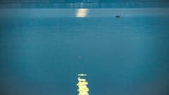 Untergehender, voller Mond über dem Sempachersee (Bild: Stefan Kunz)