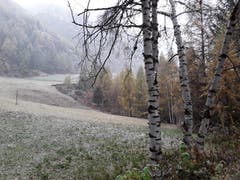 Eine dünne Schneeschicht liegt auf dem Land. Aufgenommen in Saas Balen. (Bild: Bruno Ringgenberg)