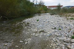 Nicht nur der Rhein, auch die Lorze dürstet nach Wasser. Morgen ist die Durststrecke vorbei. (Bild: Robert Leutwyler)