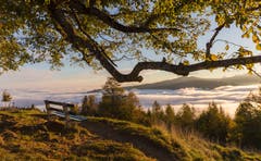Morgenstimmung über dem Nebelmeer auf dem Zugerberg. (Bild: Daniel Hegglin)