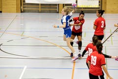 WeGames Weinfelden: Impressionen vom Handballspiel BSV Weinfelden (blau) - SC Frauenfeld (rot) (Bilder: Donato Caspari)