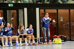WeGames Weinfelden: Impressionen vom Handballspiel BSV Weinfelden (blau) - SC Frauenfeld (rot) (Bilder: Donato Caspari)