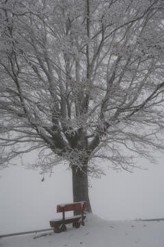 Oktoberschnee auf dem St. Anton. (Bild: Irene Weibel)